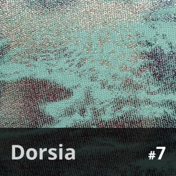 Dorsia 7